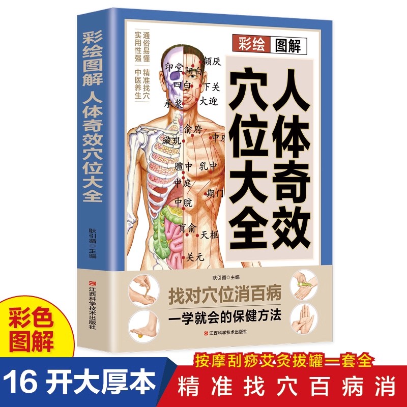 Health & Wellness Website - ツボマッサージと伝統中国医学の健康維持ガイド、伝統中国医学の治療法に関する完全な書籍