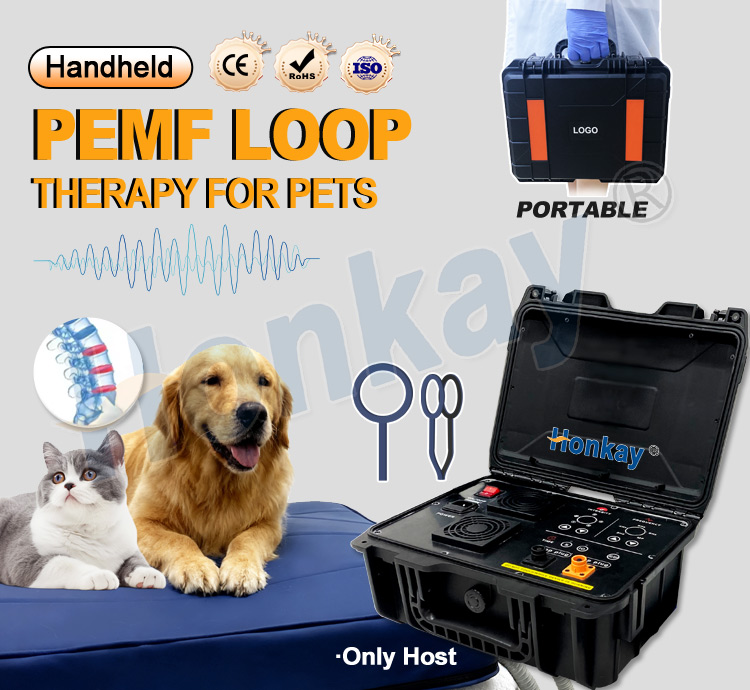 ペット用PEMFデバイスループ 犬の健康維持 猫のボディマッ - Health With Wellness のレビューと価格
