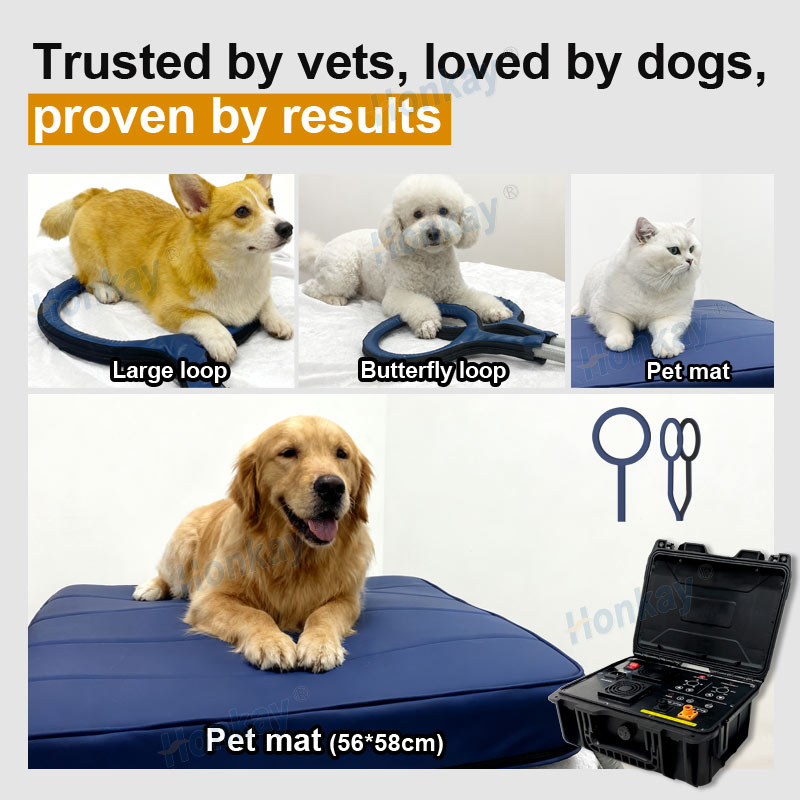 ペット用PEMFデバイスループ 犬の健康維持 猫のボディマッ - Health With Wellness のレビューと価格