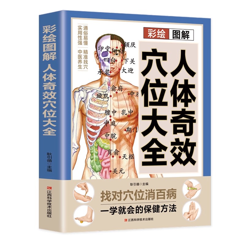 経穴マッサージと伝統的な中国医学の健康維持療法の完全ガイド  - Health & Wellness Website のレビューと価格