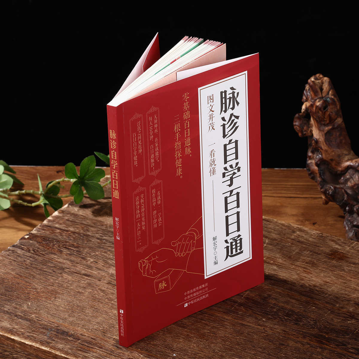 脈診独学百日合格、伝統中国医学入門独学健康書 - Health & Wellness Website のレビューと価格
